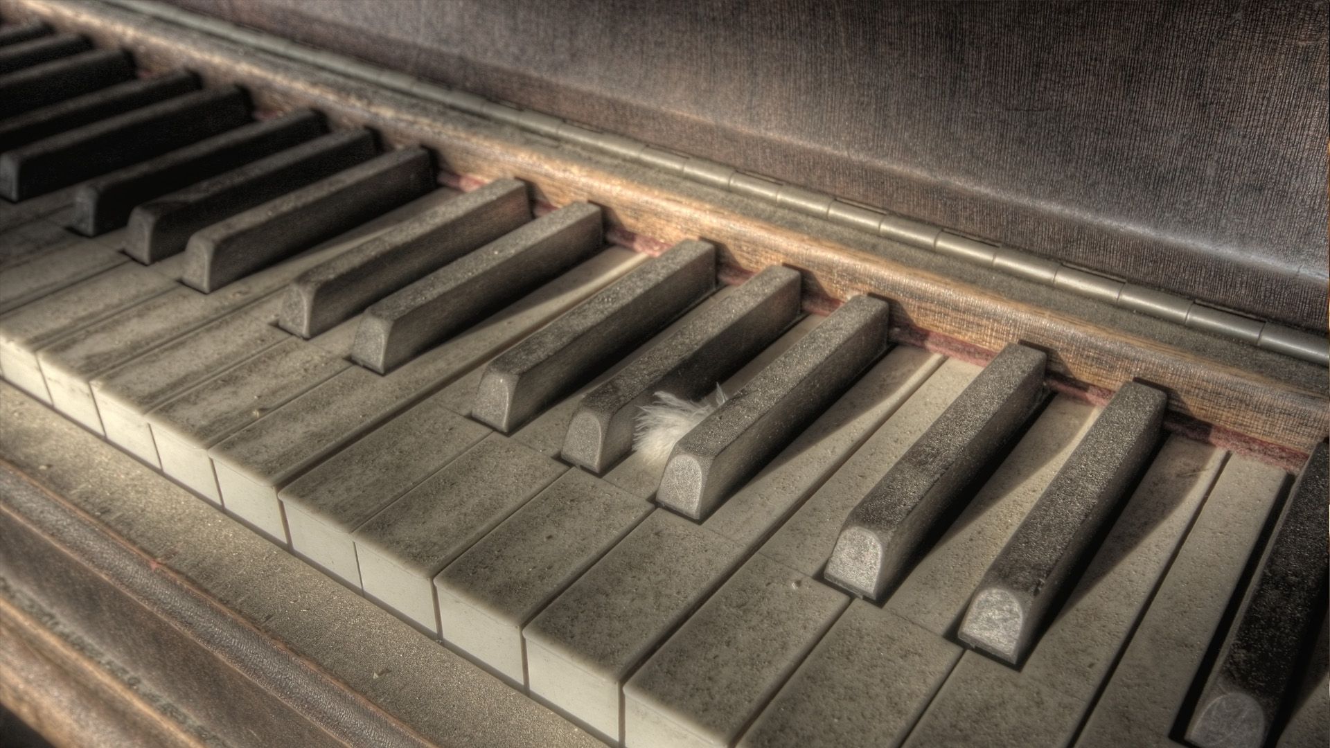 steinway piano price